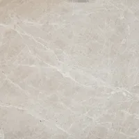 Marble Secondary Bathroom Floor and Wall